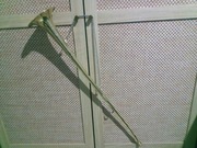 Trąbka sygnałowa, vintage, sygnałówka, fanfara