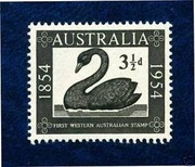 Australia - czarny łabędz - czysty **