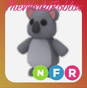 Roblox Adopt Me Koala NFR