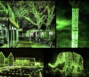 Wąż świetlny LED zielony