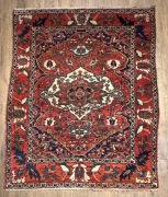 Kobierzec bachtiari nr. 519