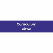 Profesjonalne CV