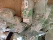 10 gr groszy 2021 rok menniczy worek parciak