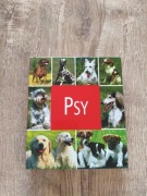 Album Książka PSY