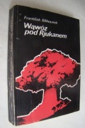 Wąwóz pod Rjukanem - Frantisek Bohounek