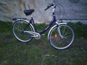 Rower damka holenderska 