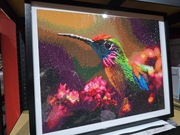 Obraz czarna antyrama kolober 