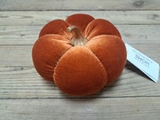 Dynia dekoracyjna, dynia ozdobna, nowa, z Primarku