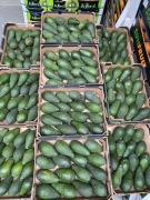 Awokado Pinkerton – Świeże, Klasa 1 16szt.