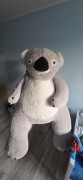 Duży miś koala, przytulanka