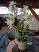 Sztuczny kwiat storczyk, w donicy, wysokość 75 cm