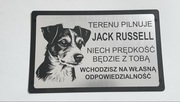 Tabliczka ostrzegawcza uwaga pies Jack Russell terrier