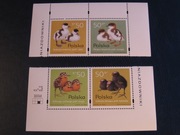 Pisklęta zagniazdowniki Fi 3538-41** kombinacje