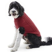 St John's Bark sweterek dla psa r.L