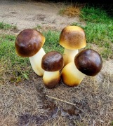 Dekoracyjne Grzyby Ogrodowe – jak prawdziwe, trwała ozdoba!