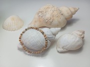 Bransoletka kamień jaspis 