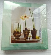 Album foto na zdjęcia 10x15cm (x200) zielony żonkil