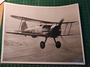 Gloster Gladiator oryginalne zdjęcie - 22x17 cm