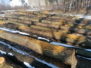 Drewno tartaczne olcha i papierówka 