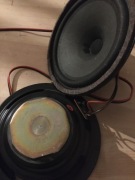 Niskotonowe 16 cm ingwar sphis