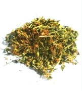 Dziurawiec zwyczajny ziele 100g z Bieszczad 