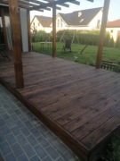 Taras Modrzew Syberyjski