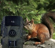 Fotopułapka kamera leśna