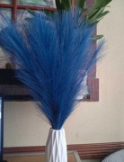 Niebieska trawa pampasowa 40 sztuk 