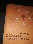 Ćwiczenia z zoologii bezkręgowców Praca zbiorowa