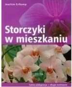 Storczyki w mieszkaniu - Erfkamp