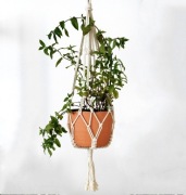 IKEA BOTANISK wiszący kwietnik sznurek makrama na ścianę, pod sufit