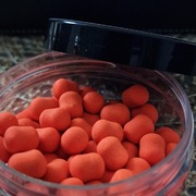 Dumbells kryl atlantycki pop-up 8 mm