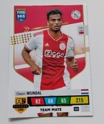 FIFA 365 PANINI - OWEN WIJNDAL 355