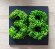 Dekoracja - cyfry z chrobotka