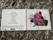 Vetusta Morla - Mismo sitio, distinto lugar, hiszpański rock