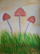 Obraz - Grzybki halucynogenne