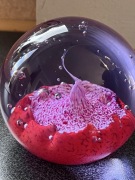 Caithness Desert Spring – Szklany Przycisk do Papieru