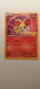 Karta Pokemon Fennekin