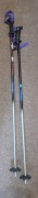 Kije narciarskie 2x2 InterSport Germany 120 & Scott 120