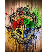 Malowanie Po Numerach Hogwart Gryfindor Harry Potter 16x20