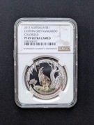 Kangur Szary Olbrzymi 2013 kolor grading NGC PF69 ultra cameo