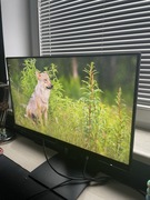 Monitor HP X24ih