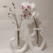 Wazon Dekoracyjny z Rurką Do Hydroponiki Kolorowa Doniczka Zestaw Flakonów