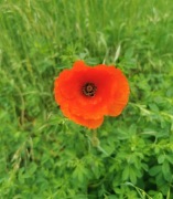 Basen Bestway rozporowy 305x76 z osprzętem 