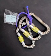 DMM Zodiak Karabinek z Zakręcany Zestaw 1