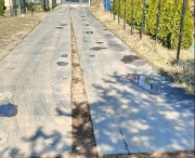 Pas transmisyjny Guma 