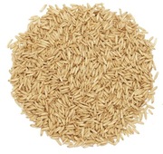 Owies paszowy, pasza dla zwierząt, królików 20kg