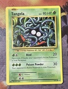 Karta Pokemon Tangela 8/108 EVO 8 XY Evolutions