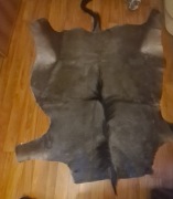 Skóra z antylopy gnu 