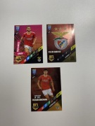 Zestaw 3 kart Benfica Panini Adrenalyn Xl 2024